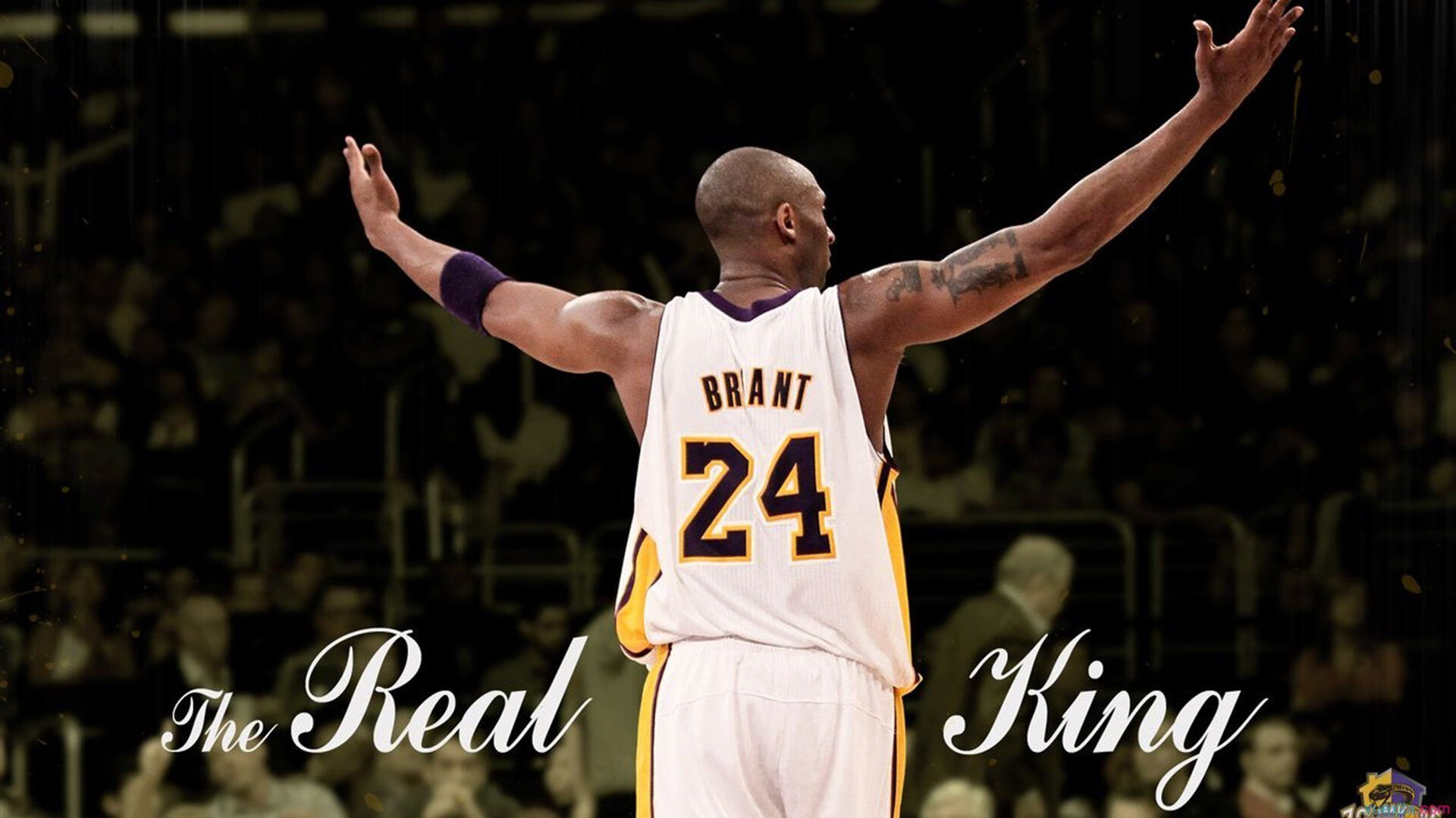 全国青少年“竞技篮球”提升计划正式启动，助力成长，2020年全国青少年篮球比赛报名